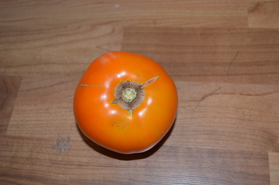 Sunkist F1 Tomato